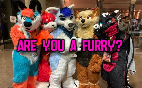 furry test quiz|am i a furry quiz buzzfeed.